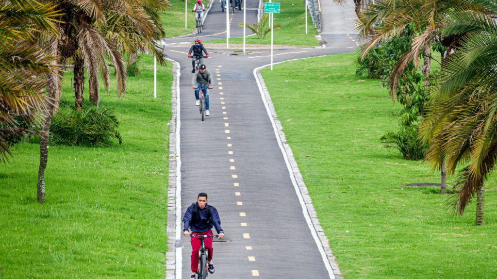 People bike down a bicycle lane in Bogota. The path is grey tarmac surrounded by green grass and palm trees.