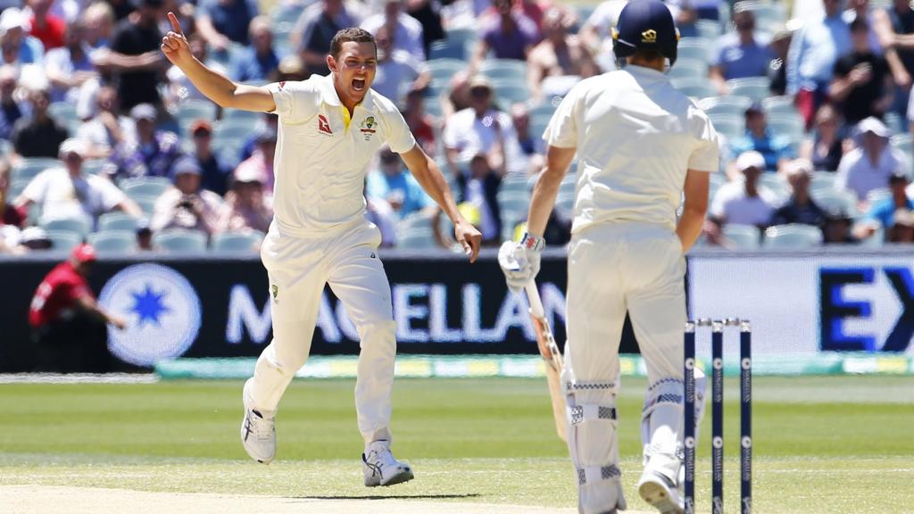 Josh Hazlewood and Chris Woakes