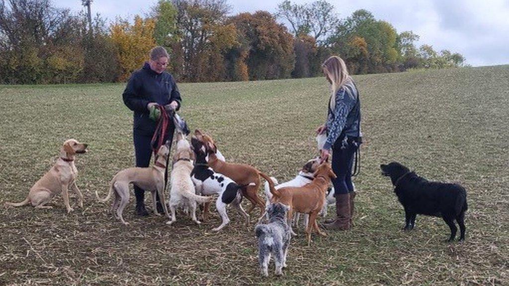 Two women in a field with a number of dogs on a leash