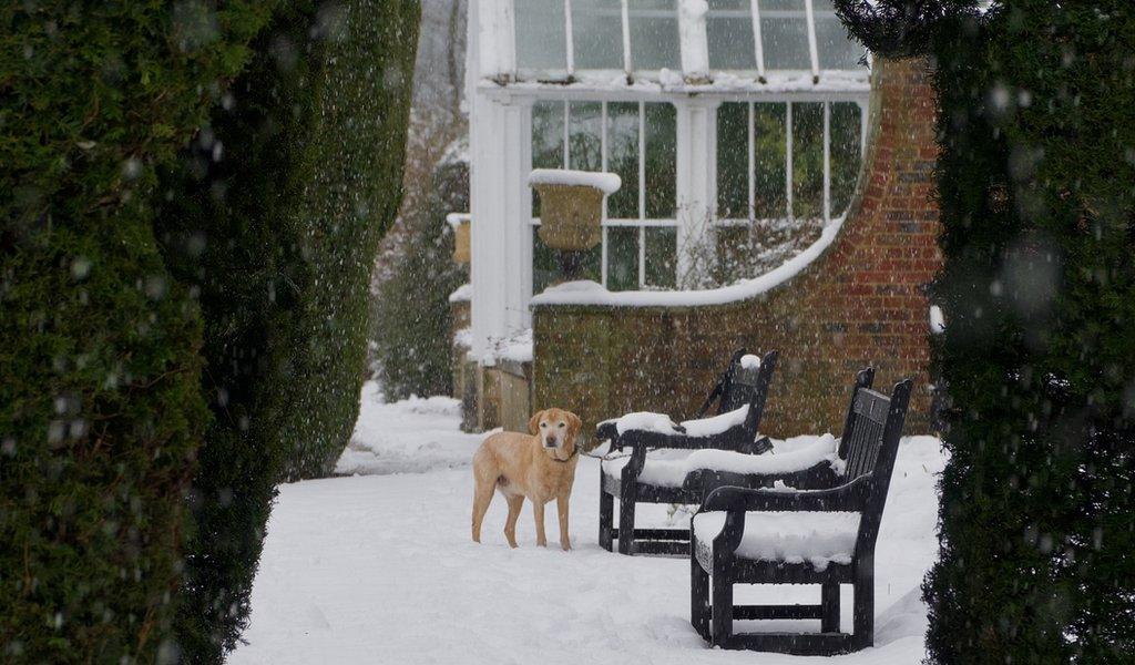 Max in the walled garden