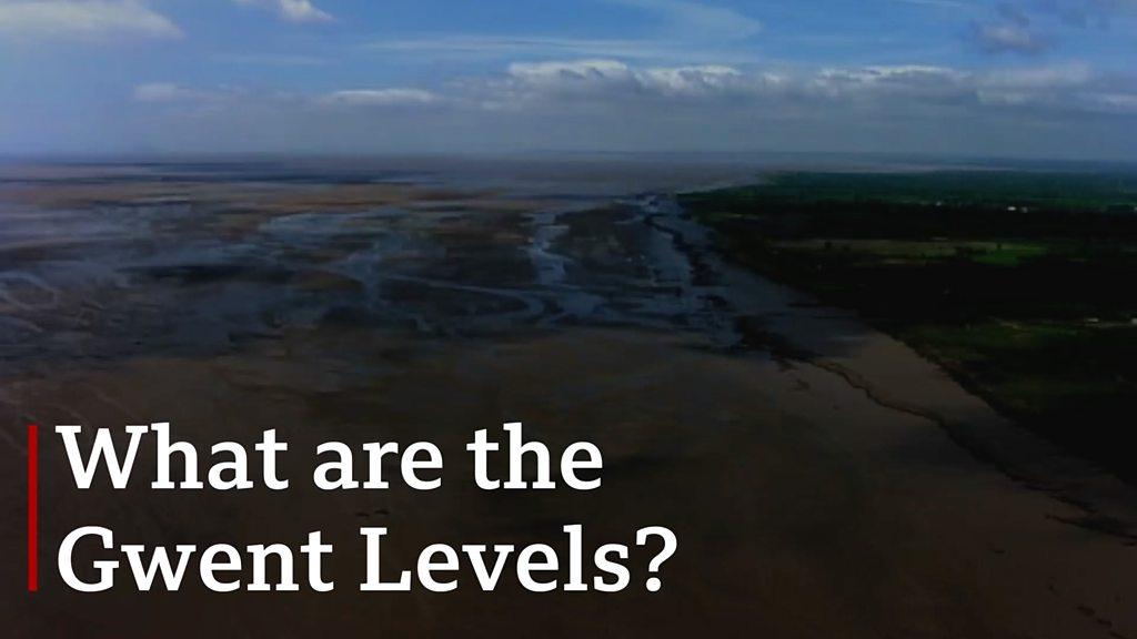 An aerial view of the Gwent levels