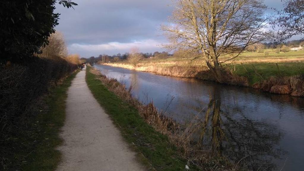 Caldon Canal in Stockton Brook