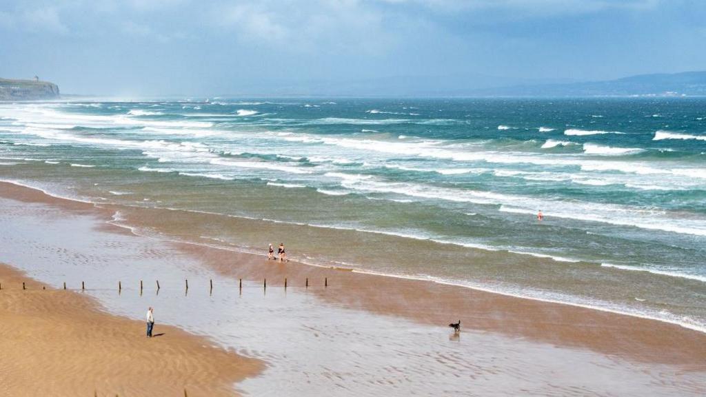 A beach seen from above on a sunny day. The sky is blue and it is sunny. There are several people on the beach, as well as a dog. 