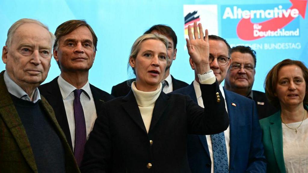 AfD leaders stand in front of the cameras, with Alice Weidel their co-leader in the centre