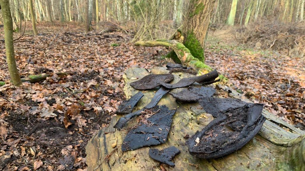 Shoes on a trunk in a forest