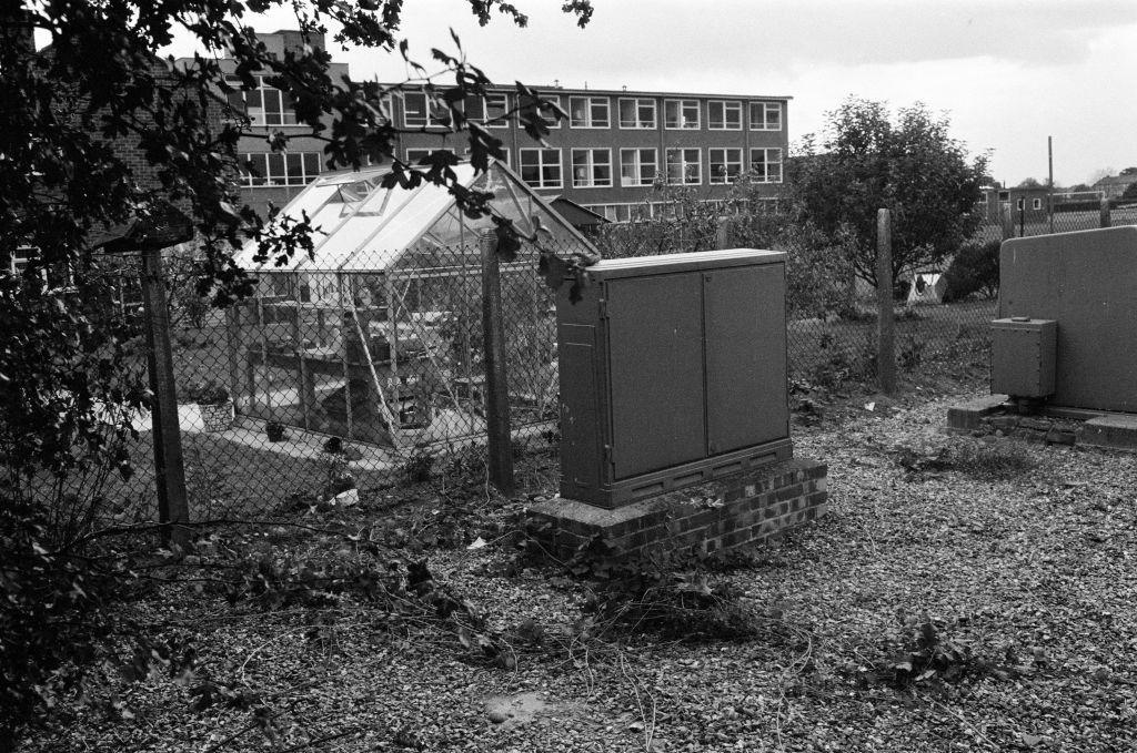 Black and white archive image of the area Lynne was found in 1975. Leaf debris covers the ground and Lampton School can be seen a garden away, behind a small greenhouse.