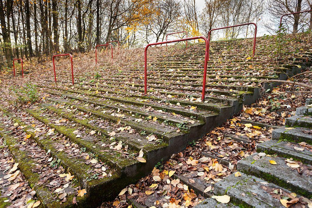 leaves on the old terraces