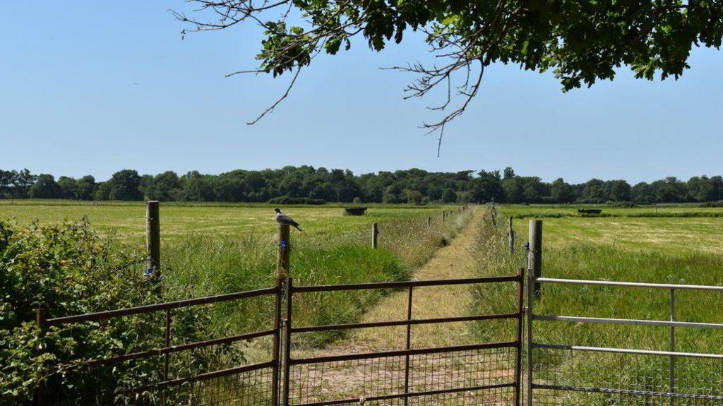 Hall Farm paddocks, photographed in 2020