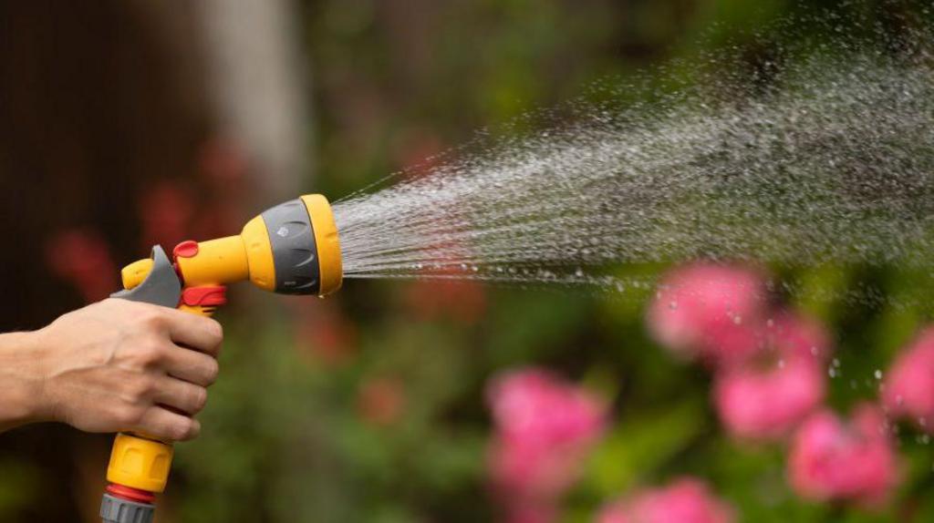 A yellow hosepipe spraying water