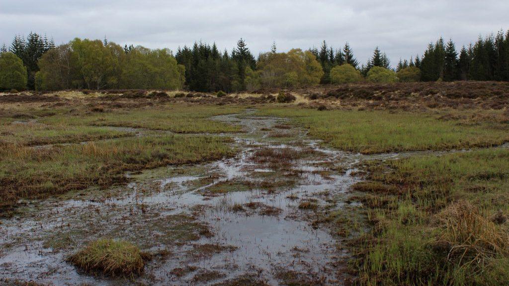 Fearann aig Bun Leòthaid