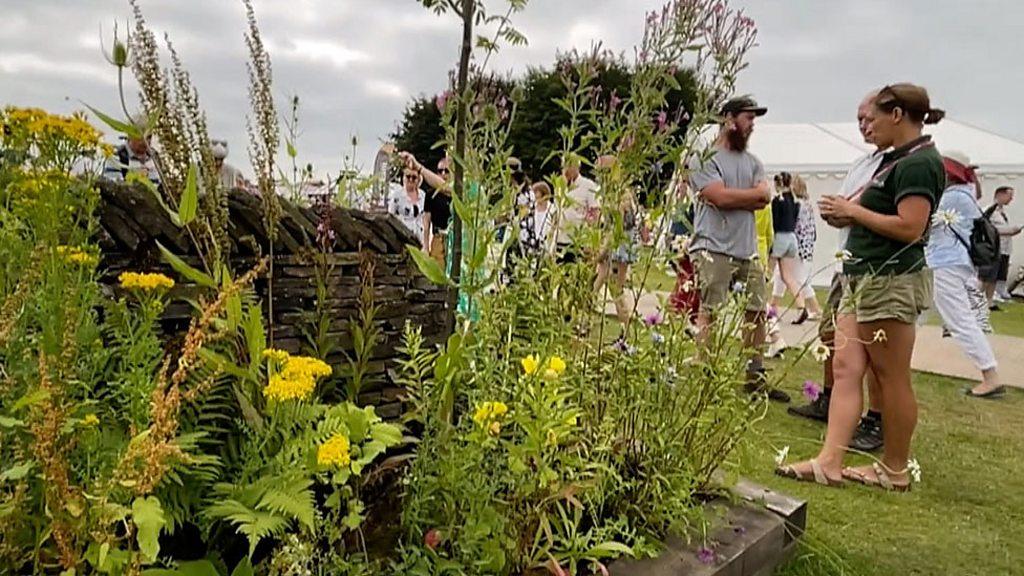 weed garden