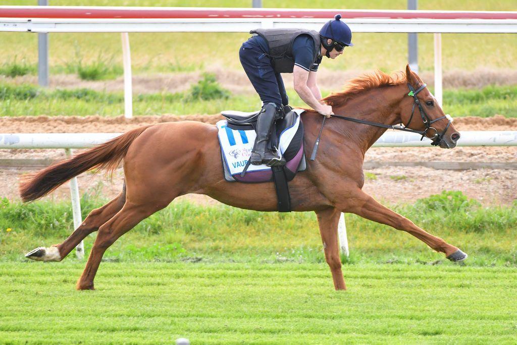 Vauban preparing for the Melbourne Cup