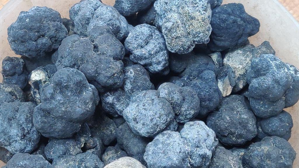 A pile of polymetallic nodules, which look a bit like lumps of coal.