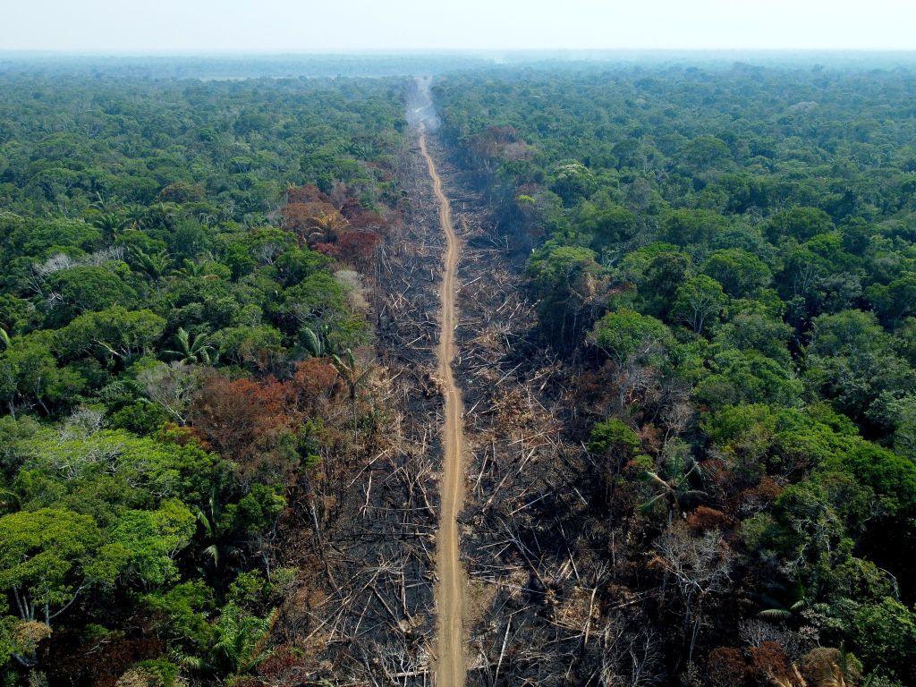 A deforested tract of the Amazon rainforest