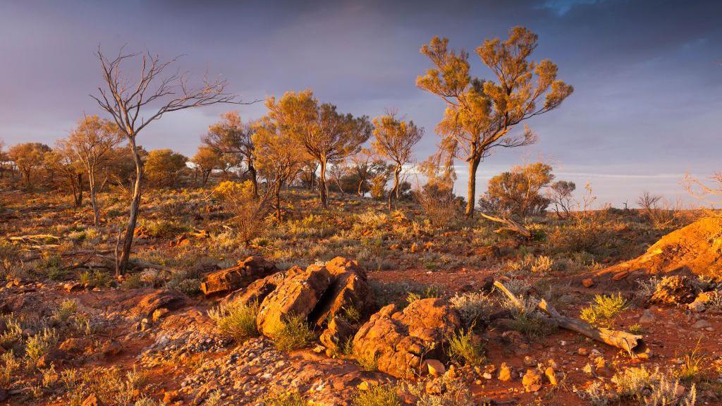 Mutawintji National Park.
