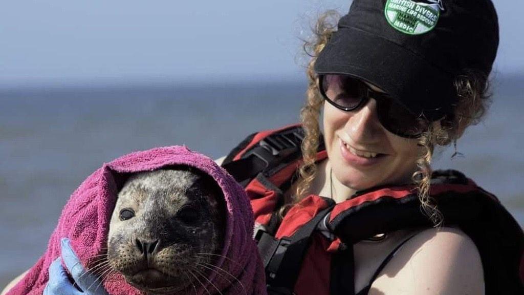 A woman wearing sunglasses looks and smiles at a seal that is wrapped in a purple blanket