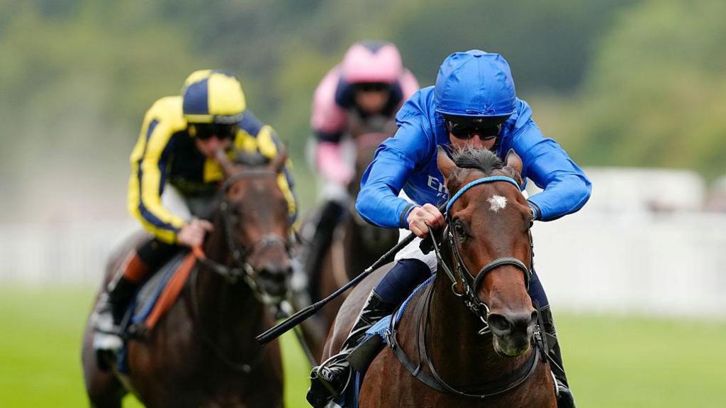 A racehorse and jockey coming towards the camera. The jockey is dressed in blue silks. There are two other horses and riders in the background, but slightly blurred.