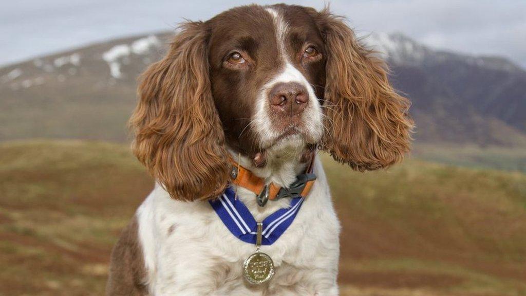 Max with his order of merit medal around his neck