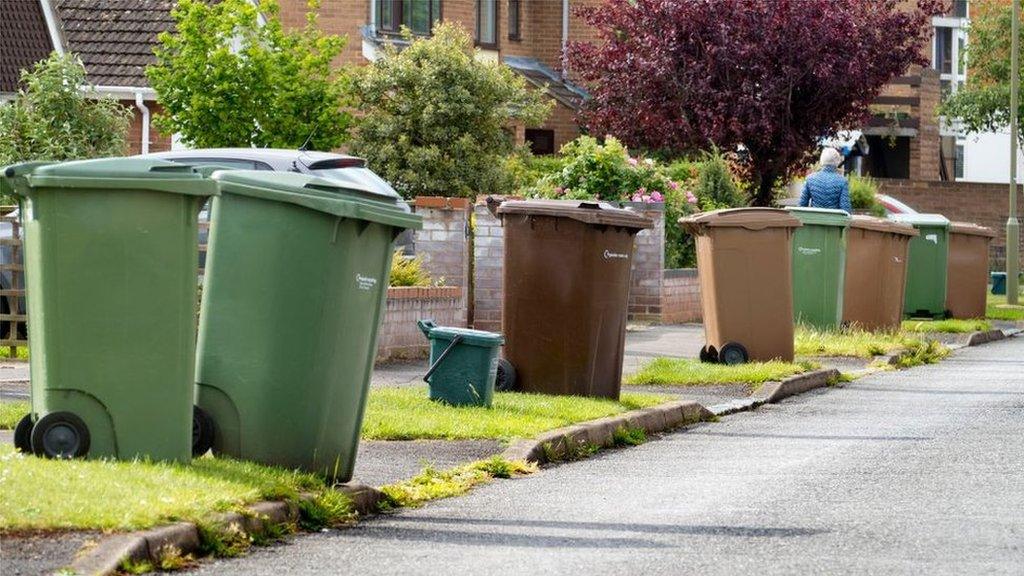 Bins on street