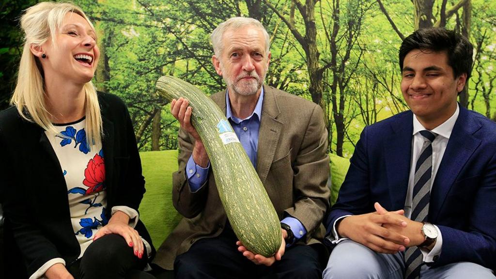 Corbyn Criticizes Rayner Over Allotment Sales