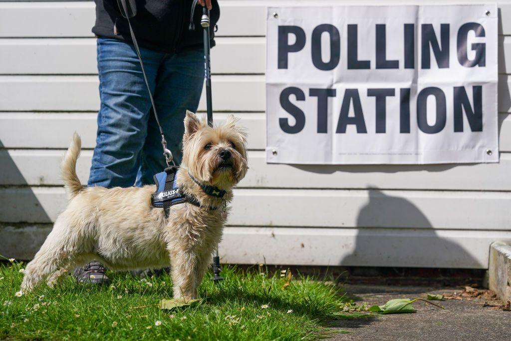 A dog stands with its owner next to a polling station sign