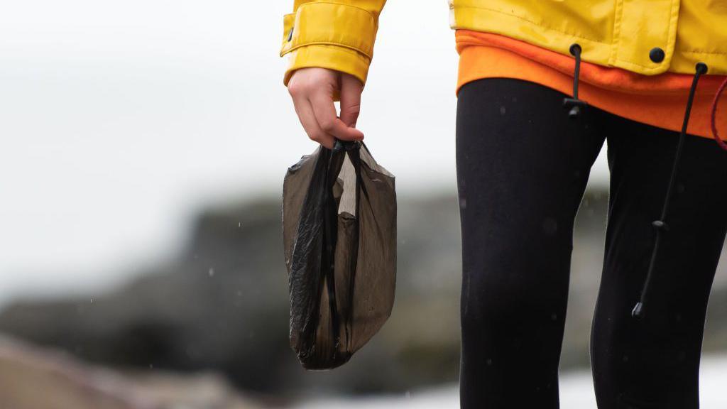 Tè le baga salchair choin na làimh