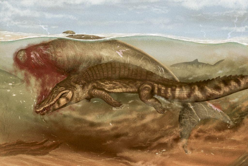 An artist’s impression of an ancient sea cow being attacked by a crocodile