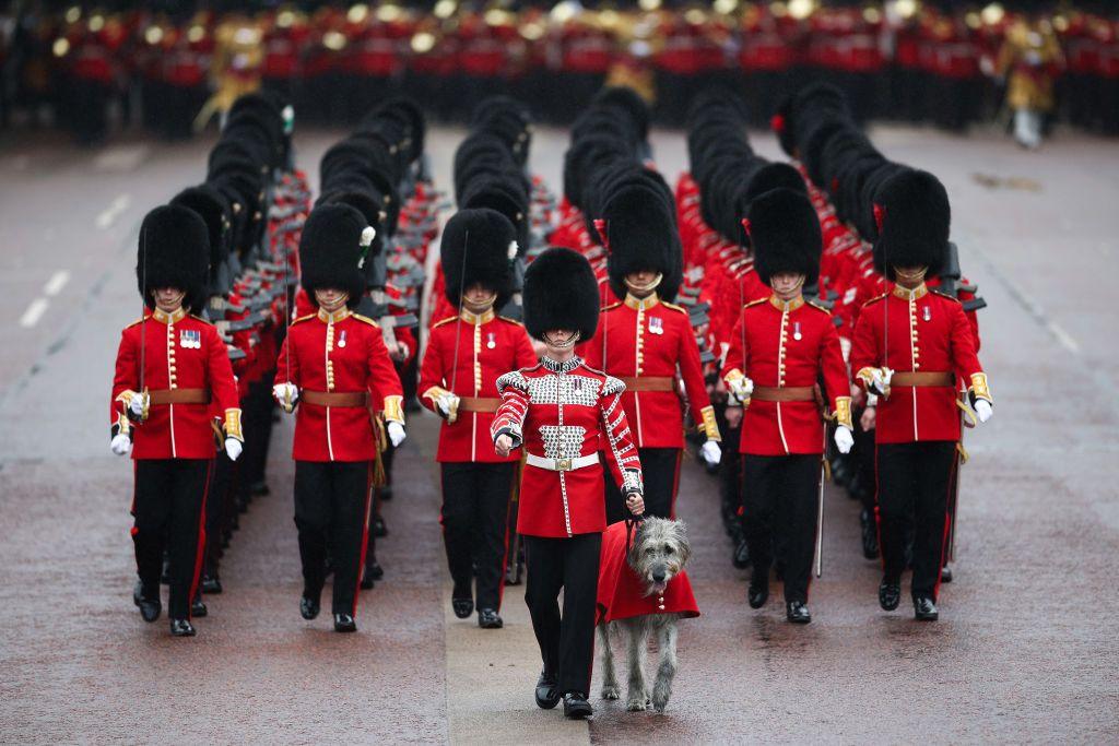 guards and dog marching in parade.