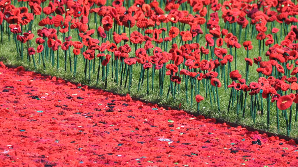 Chelsea Flower Show 2016: '5000 poppies' crochet display at the barracks