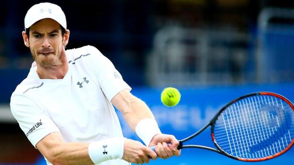 andy Murray