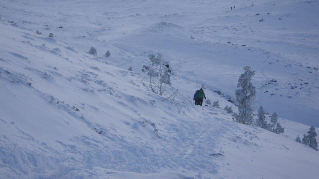 Northern Cairngorms