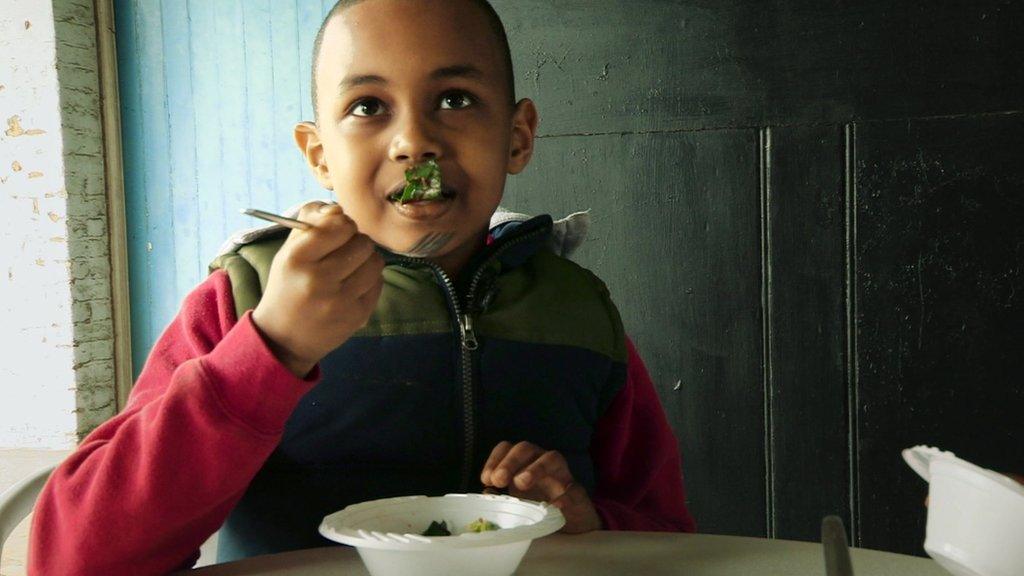 Pupil eating lettuce