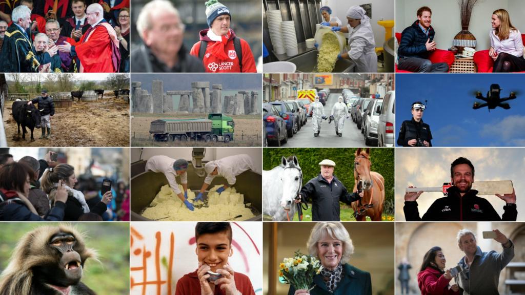 A montage of images from the West Country
