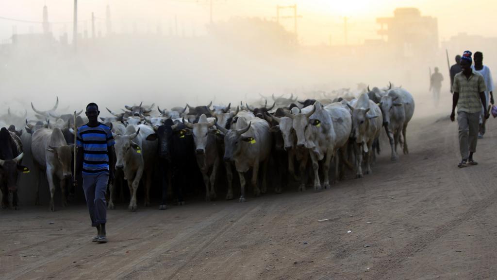 Herdsmen