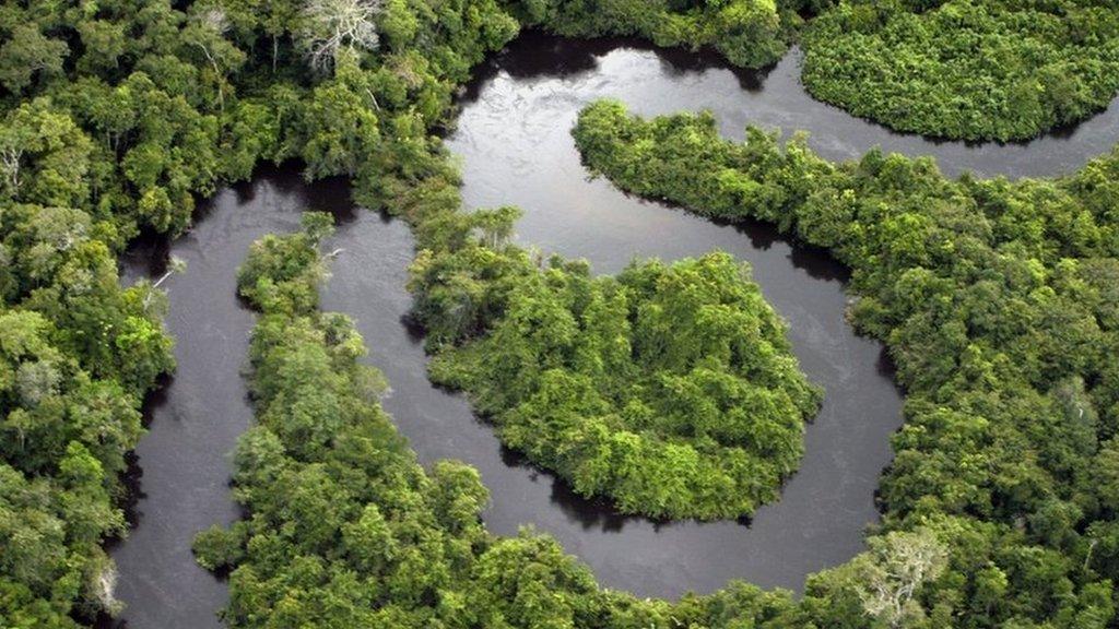 A river flowing through the Amazon rainforest