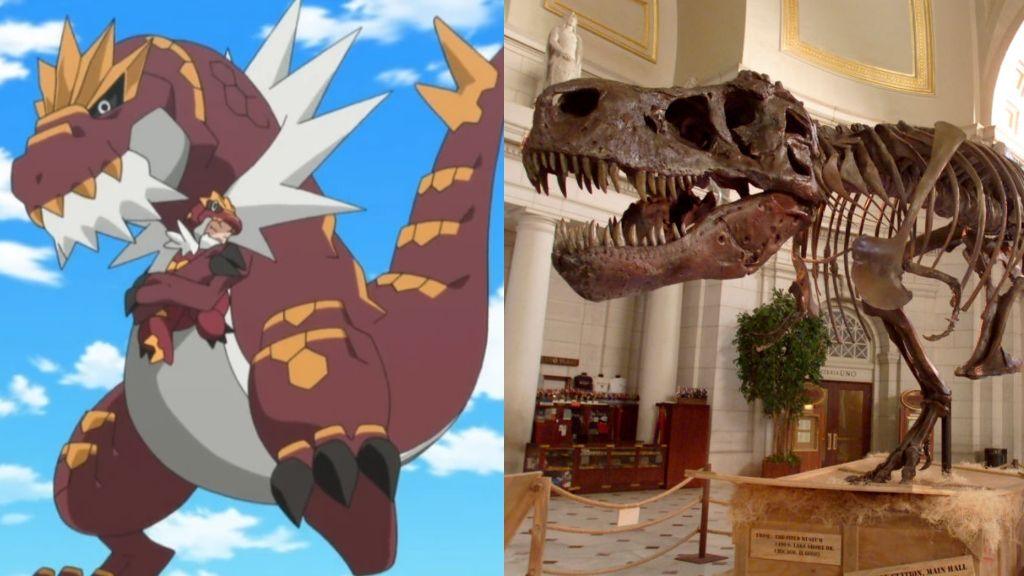 Tyrantrum and a T.rex skeleton