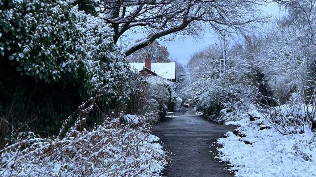 A snowy scene with a path winding through snow-covered trees past a house in Bolton