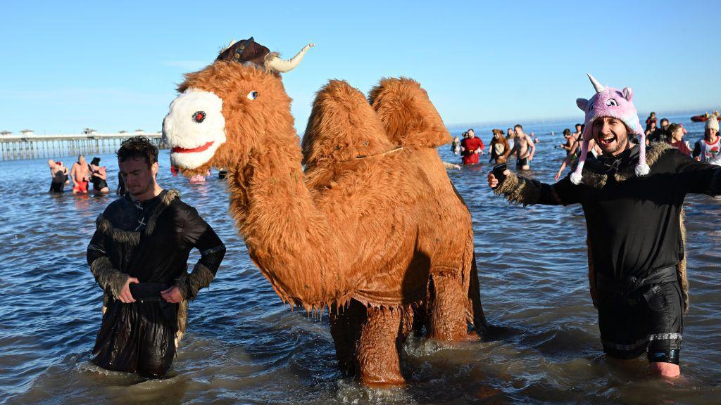 Two people dressed up as a Viking camel with two humps, alongside two people wearing Viking clothes, and one with a pink unicorn hat. 