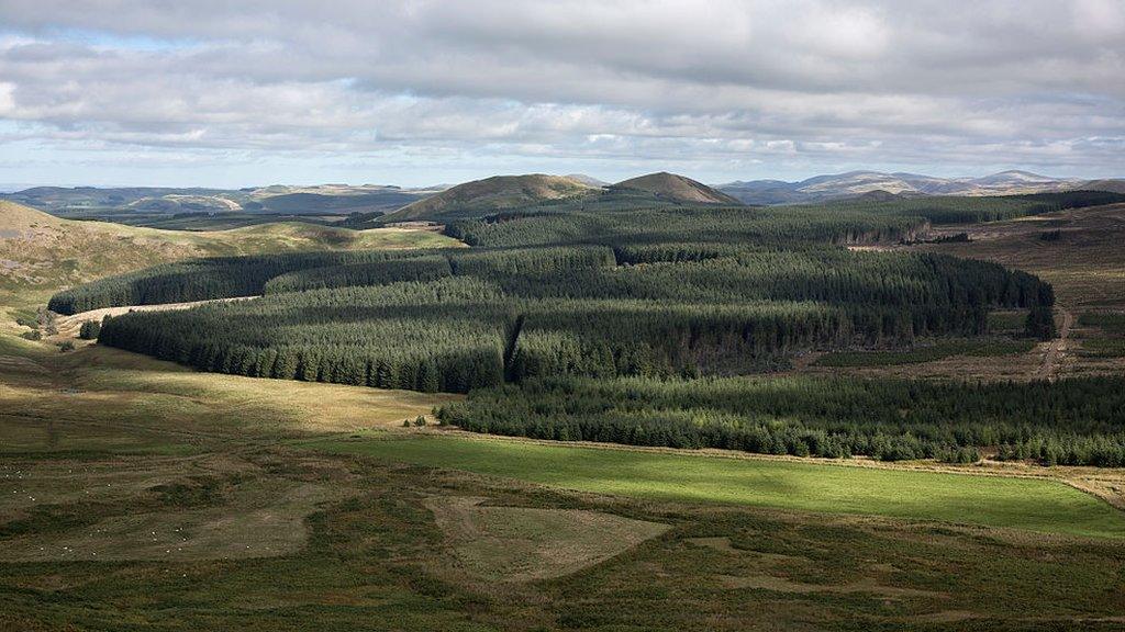 Scottish Borders