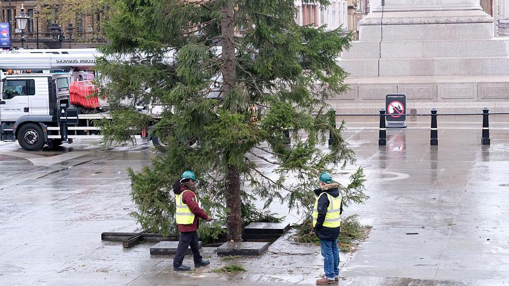 Tree is seen being placed under the concrete paving slabs with two workers wearing high-visability vests standing beside it. 