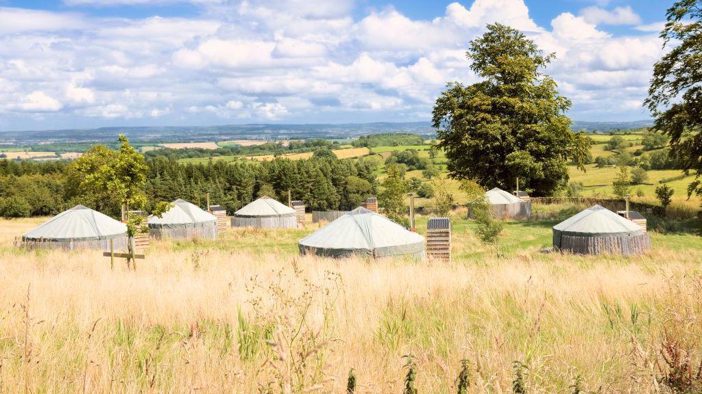 Luxury yurts pictured on a camping field on a hot and sunny day.