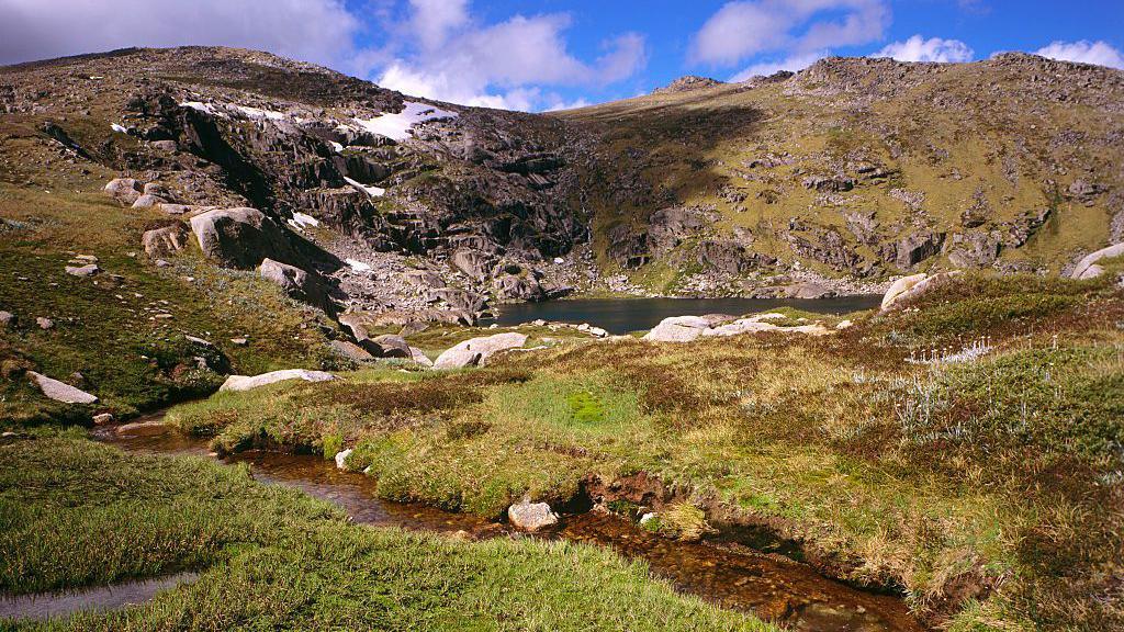 A creek running along green grass, with a mountain in the backgrop, at Blue Lake in Kosciuszko National Park