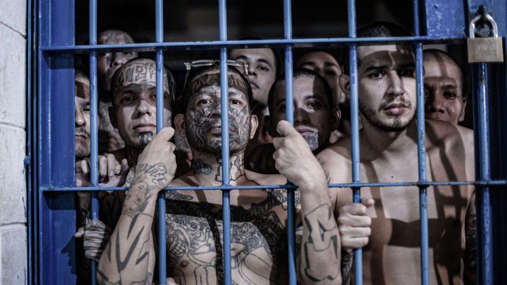 In this handout picture provided by the Salvadoran presidency inmates observe from a cell inside the mega- prison Terrorist Confinement Centre (CECOT) on June 11, 2024 in Tecoluca, El Salvador