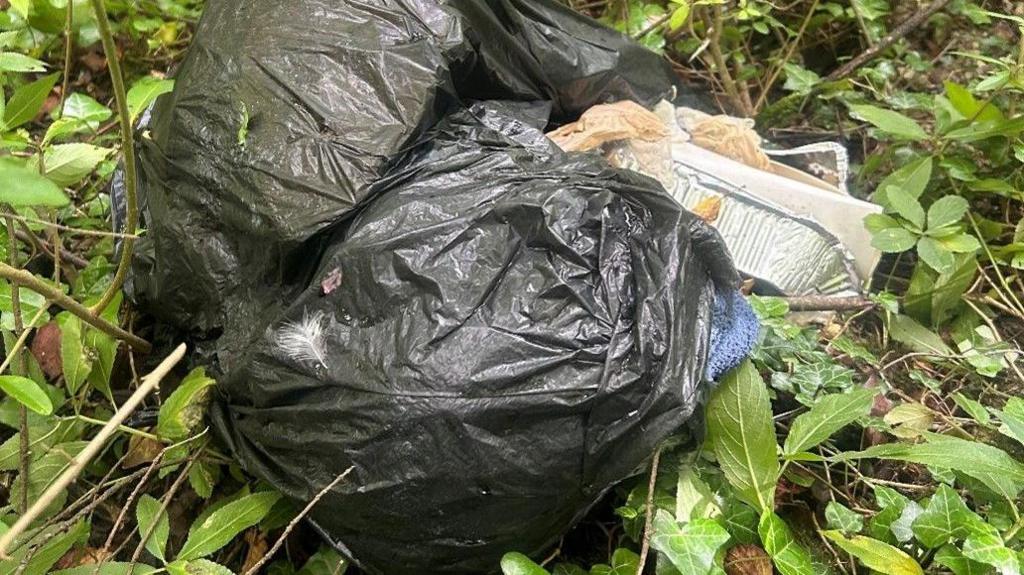 Two large black bag of waste in greenery on the side of a road. Empty takeaway boxes can be seen on the ground.