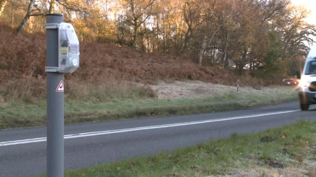 Deer deterrent sensor on Cannock Chase