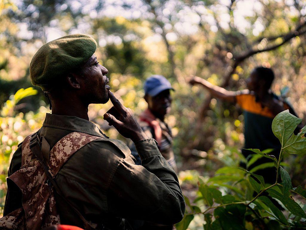 A group of men walk in the rainforest, pointing and gesticulating as they decide which way to go.