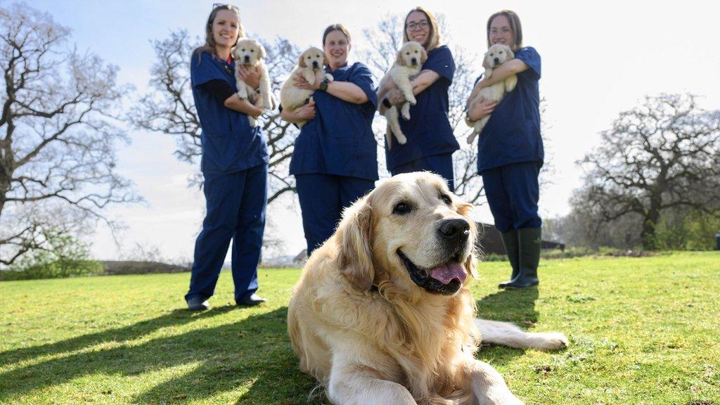 Trigger and charity workers with his puppies