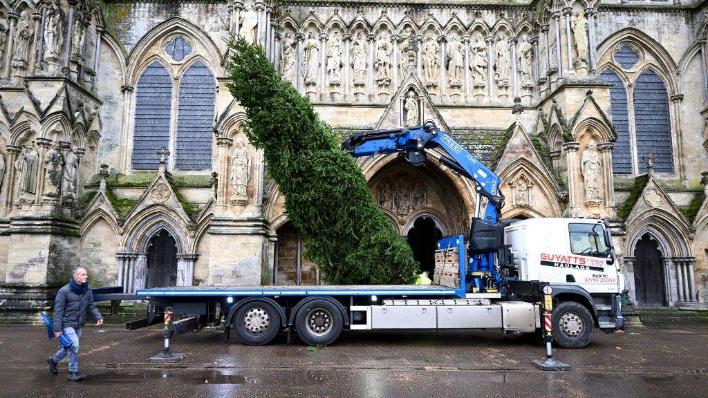 Salisbury Cathedral's 32ft tree