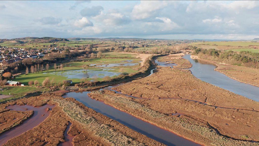 Otter estuary