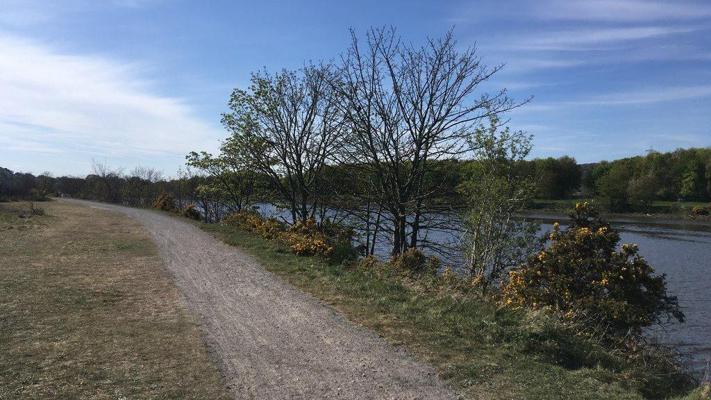 The Keelman's Way runs alongside the steep riverbank of the Tyne. A number of trees are growing on the bank.